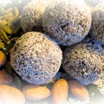 Wisdom Orbs *raw vegan,all organic,gluten free and sugar free*